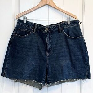 🌈 6/$60, Ava & Viv, Size 18, Blue, Medium Wash, Denim Shorts, High Rise, Zip Fly